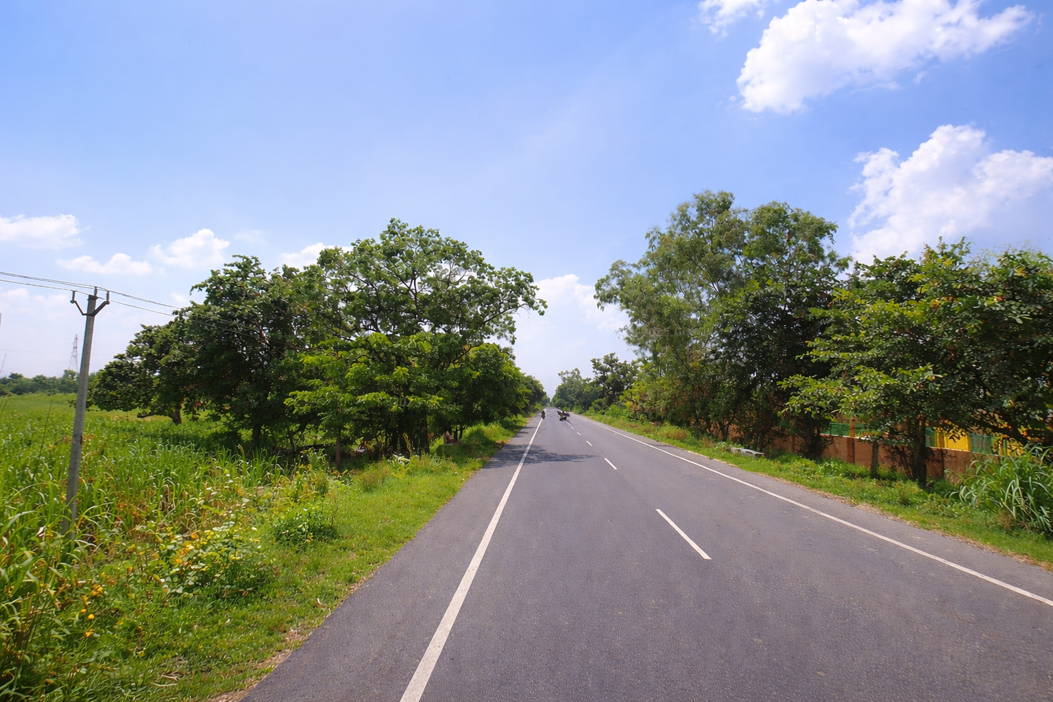 ChatGPT Image Jan 5, 2026, 03_04_11 PM