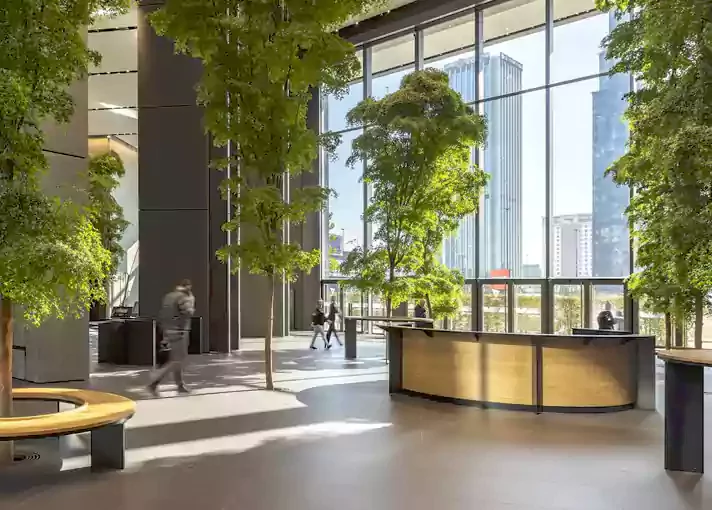 miraya (2) (1) (2) (1)